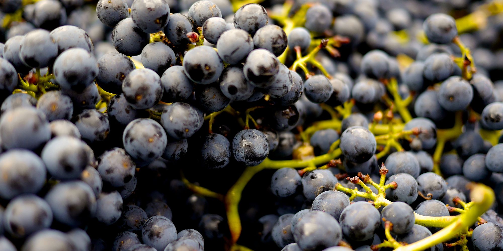 BC BEST OF VARIETAL WINE AWARDS